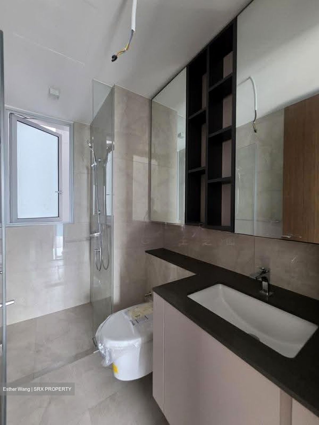 Grand Dunman (D15), Apartment #633675591
